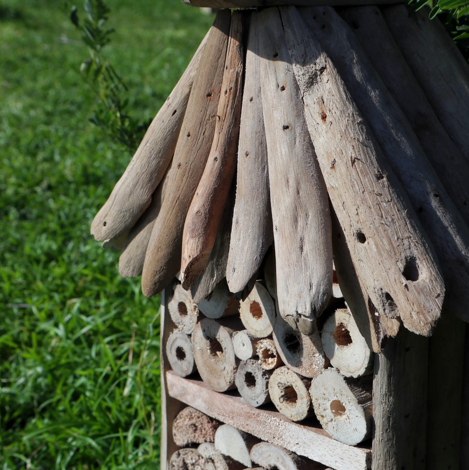Driftwood Bee Hotel and Insect Boxes - Image 4
