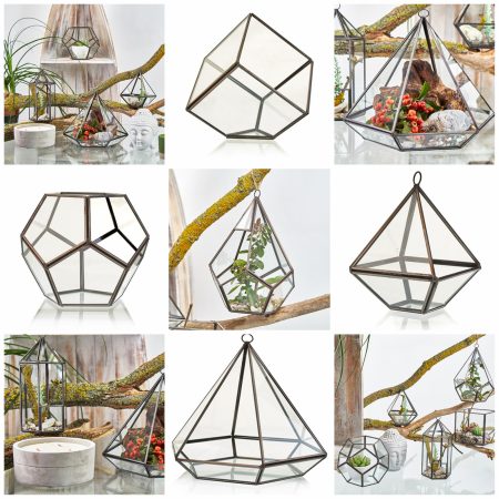 glass terrarium
